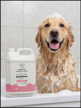 FurAmore Professional Itch Relief Dog Shampoo – Oatmeal