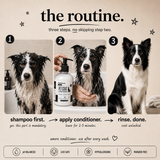 FurAmore Deep Moisture conditioner before and after — dry coat to soft hydrated coat