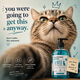 Cat shampoo gentle pH-balanced paraben-free India