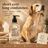 FurAmore Ivory Dusk gentle pet shampoo short coat Beagle smooth glossy coat