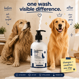 FurAmore Moonshine 2-in-1 dog shampoo replaces separate shampoo and conditioner
