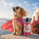 FurAmore strawberry fresh deodorizing dog shampoo 300ml bottle — odour-eliminating and paraben-free, India