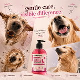 FurAmore deodorizing dog shampoo fresh strawberry scent